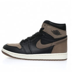 Air Jordan 1 High Sneaker DZ5485-020