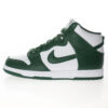 Nike Dunk High SB Sneaker CZ8149-200