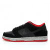 Nike Dunk Low SB Sneaker 304292-050