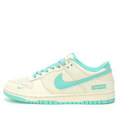 Nike Dunk Low SB Sneaker BB6698-512