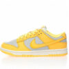Nike Dunk Low SB Sneaker DD1503-002