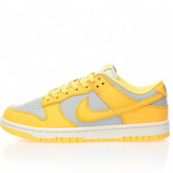 Nike Dunk Low SB Sneaker DD1503-002