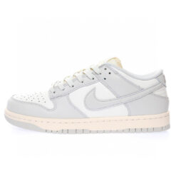 Nike Dunk Low SB Sneaker DD1503-107