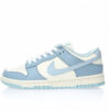 Nike Dunk Low SB Sneaker DD1503-123