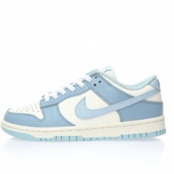 Nike Dunk Low SB Sneaker DD1503-123