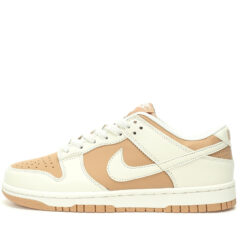 Nike Dunk Low SB Sneaker DD1873-200