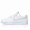 Nike Dunk Low SB Sneaker DV0831-101