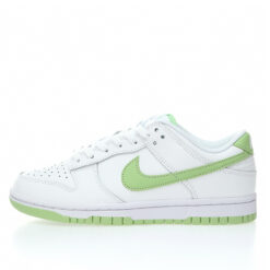 Nike Dunk Low SB Sneaker DV0831-105