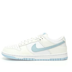 Nike Dunk Low SB Sneaker DV0831-109