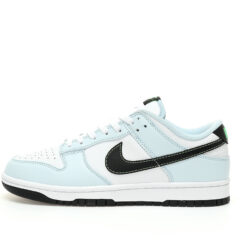 Nike Dunk Low SB Sneaker FB9109-107