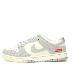 Nike Dunk Low SB Sneaker FC1688-143