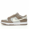 Nike Dunk Low SB Sneaker FD0792-001