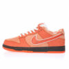Nike Dunk Low SB Sneaker FD8776-800