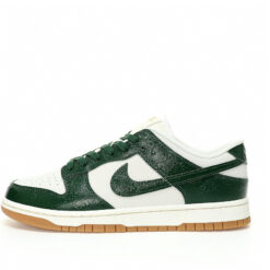Nike Dunk Low SB Sneaker FJ2260-002