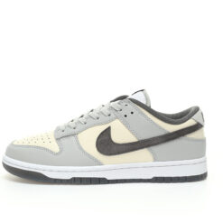 Nike Dunk Low SB Sneaker FJ4188-100