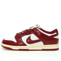 Nike Dunk Low SB Sneaker FJ4555-100