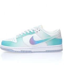 Nike Dunk Low SB Sneaker FJ7743-194