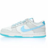 Nike Dunk Low SB Sneaker FN3433-141