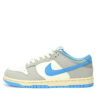 Nike Dunk Low SB Sneaker FN7488-133
