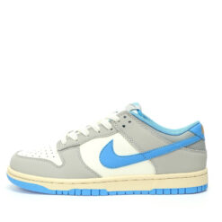 Nike Dunk Low SB Sneaker FN7488-133