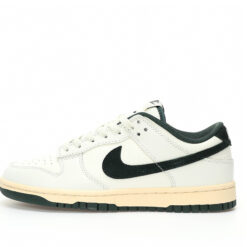 Nike Dunk Low SB Sneaker FQ8080-133