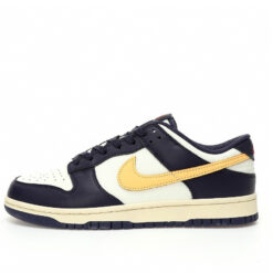 Nike Dunk Low SB Sneaker FV8106-181