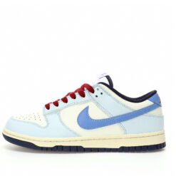 Nike Dunk Low SB Sneaker FV8113-141