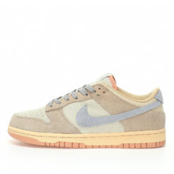 Nike Dunk Low SB Sneaker HF0106-100