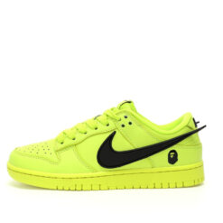 Nike Dunk Low SB Sneaker XX2025-331