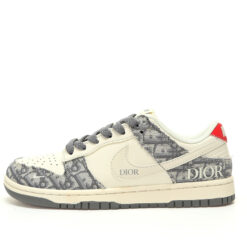 Nike Dunk Low SB Sneaker XY1688-004
