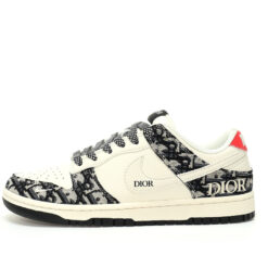 Nike Dunk Low SB Sneaker XY1688-010