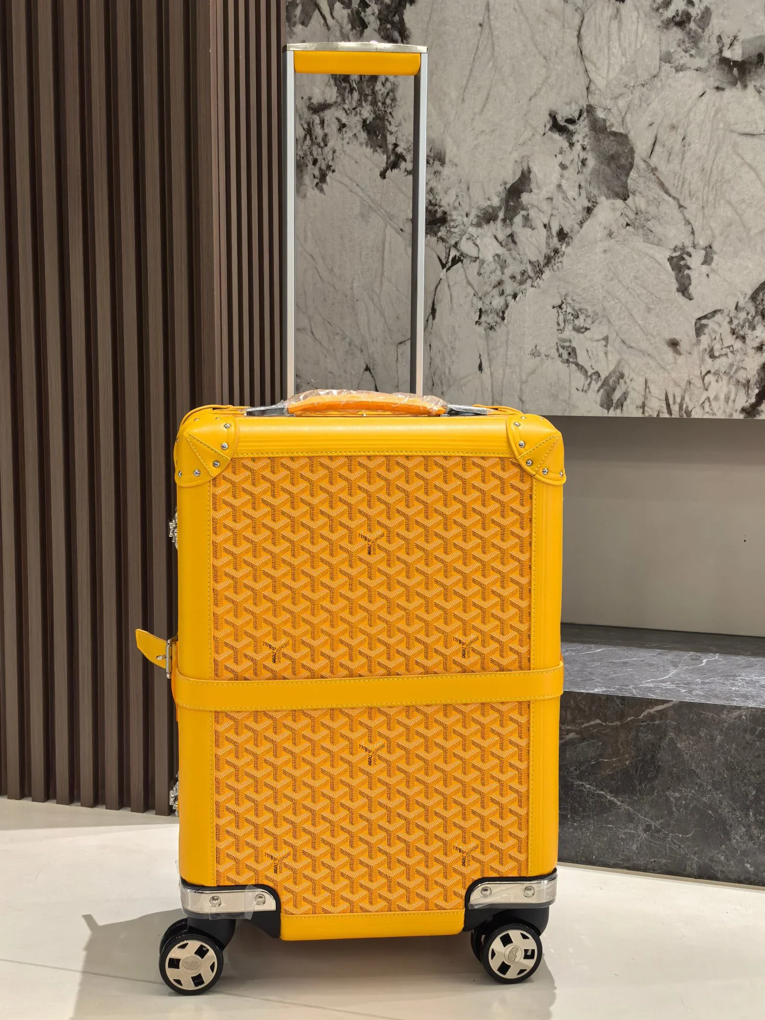 GOYARD Suitcases 33x55x20cm 2000202606230048_619