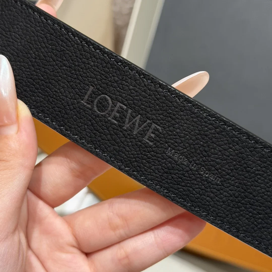 LOEWE Accessories Nubuck Calfskin 180202607050823 - Image 9