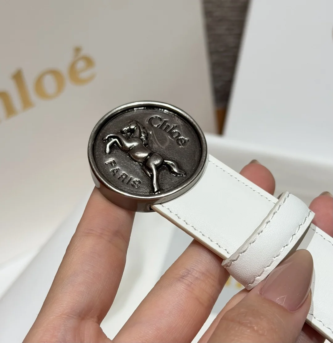 CHLOE Belts Calf Leather One Size 2.5cm Width A70202608050021 - Image 5
