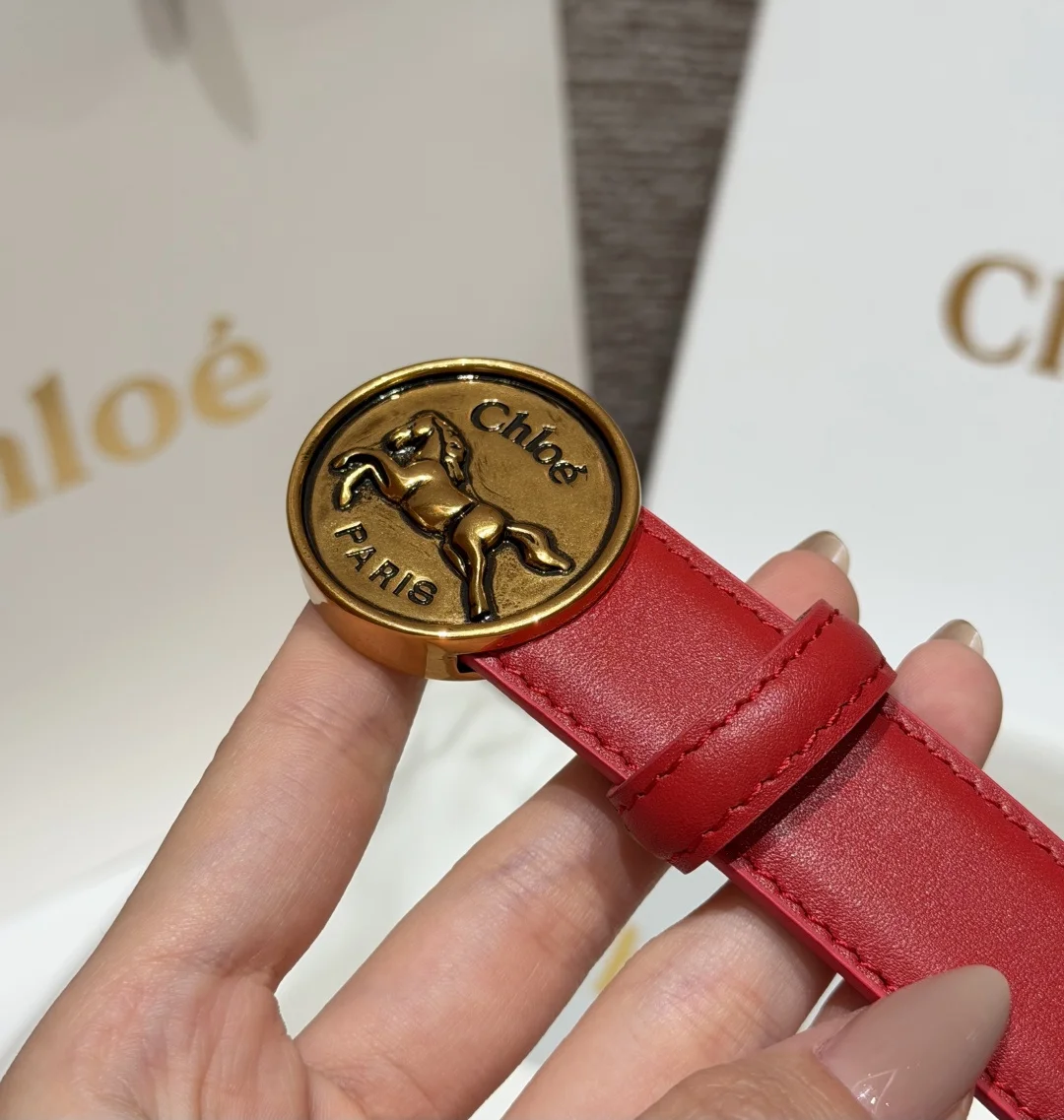 CHLOE Belts Calf Leather One Size 2.5cm Width A70202608050026 - Image 5