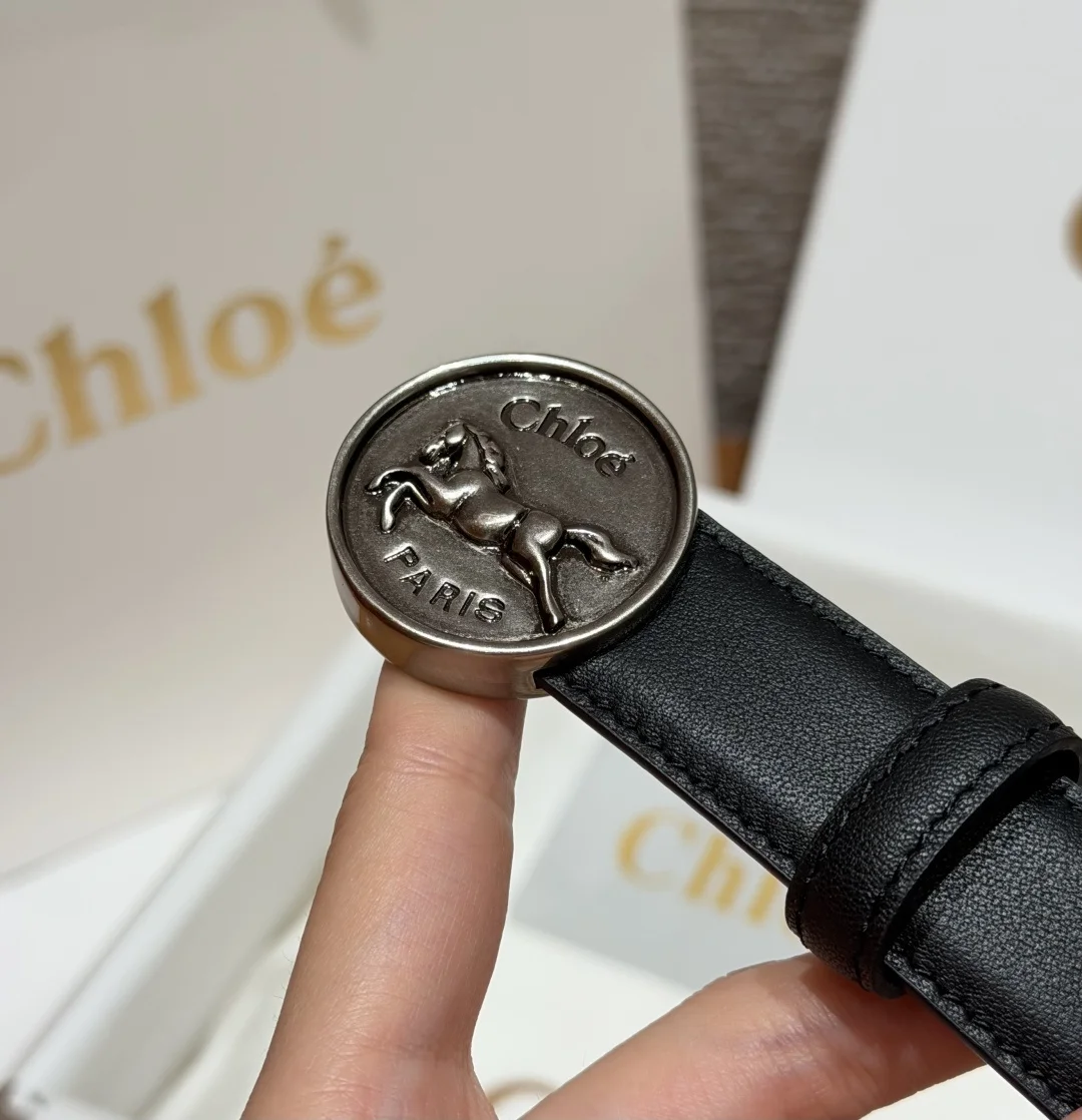 CHLOE Belts Calf Leather P170 2.5cm Width A70202608050019 - Image 5