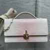 DIOR Clutches Bags White-Pink 21X11X5CM F50202609090148