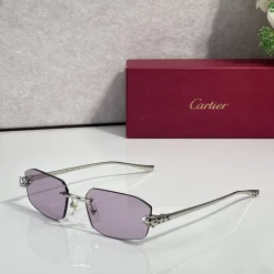 CARTIER Sunglasses A2510071607