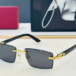 CARTIER Sunglasses A3510071122