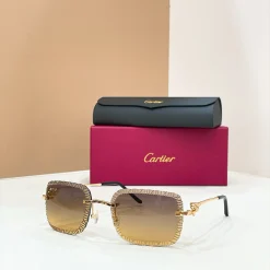 CARTIER Sunglasses A4510070603