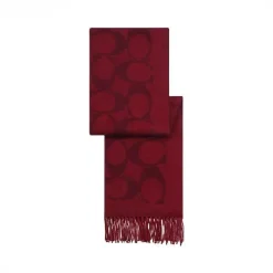 COACH Scarves Wool Cashmere Maroon-Burgundy One Size A2510070685