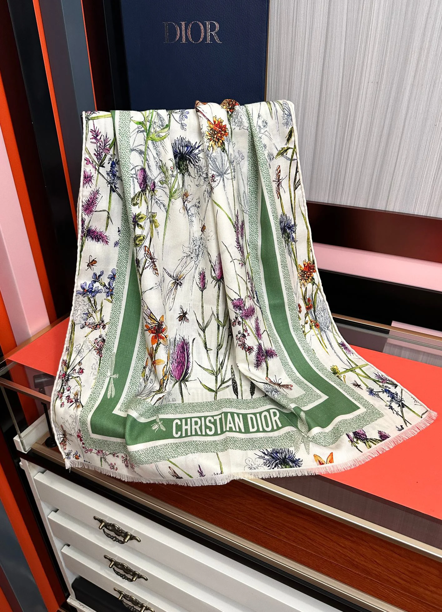 DIOR Scarves Cashmere Cream-Green 65x185 A8510072624 - Image 6