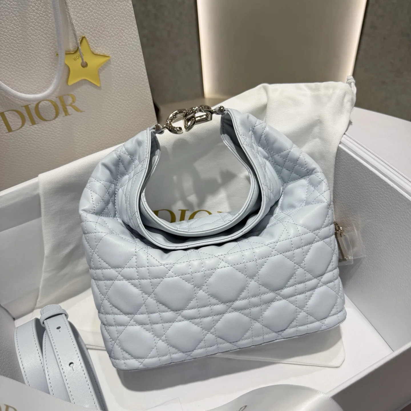 DIOR Shoulder Bags Light Blue-Silver 22.5X14X7.5CM I0010060275