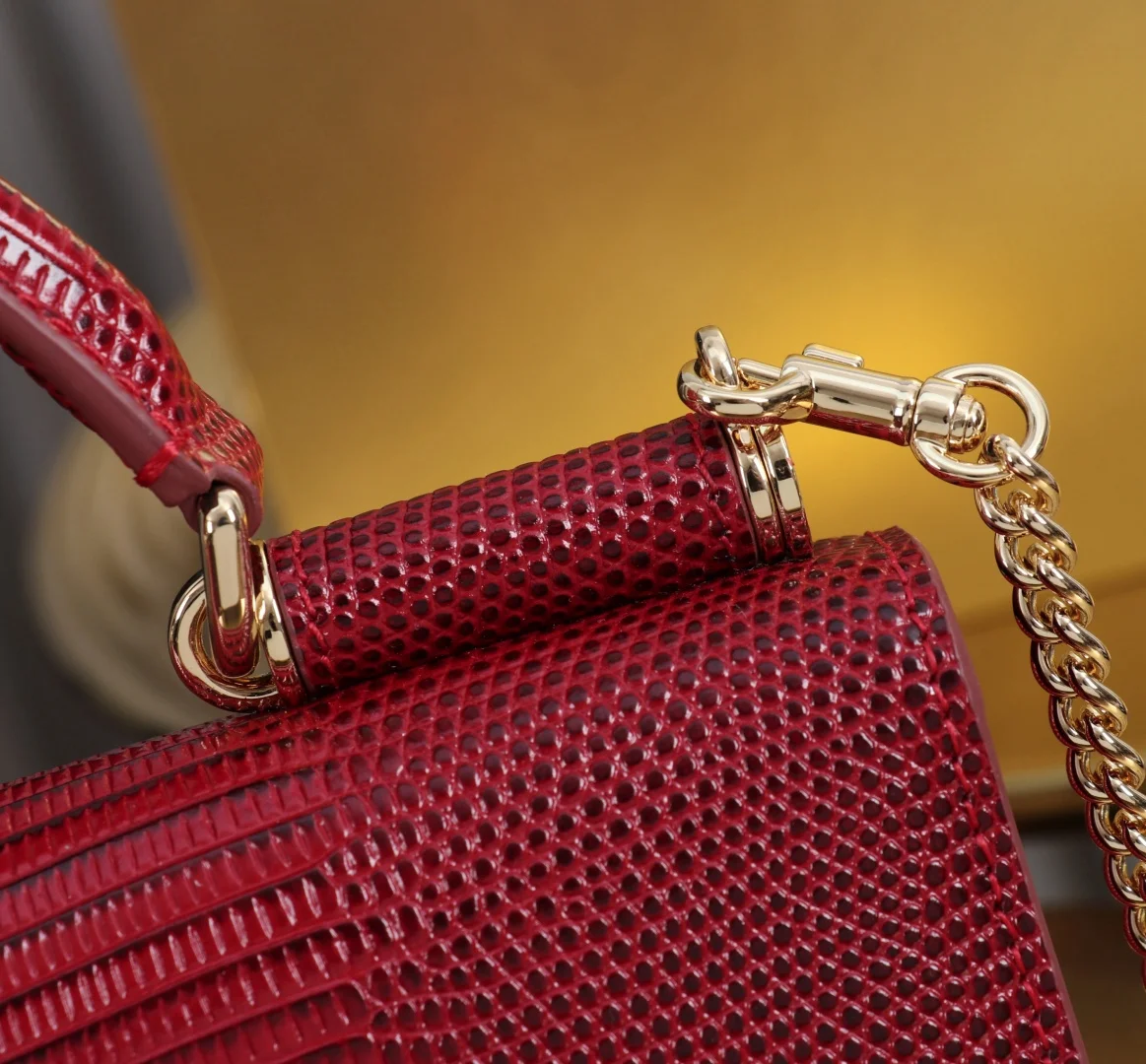 DOLCE & GABBANA Shoulder Bags Red-Gold 20X11X3CM E8010067145 - Image 8